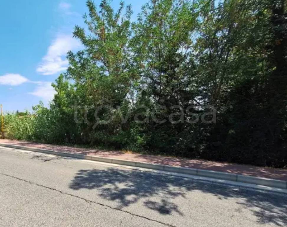 immagine annuncio 4 di 13