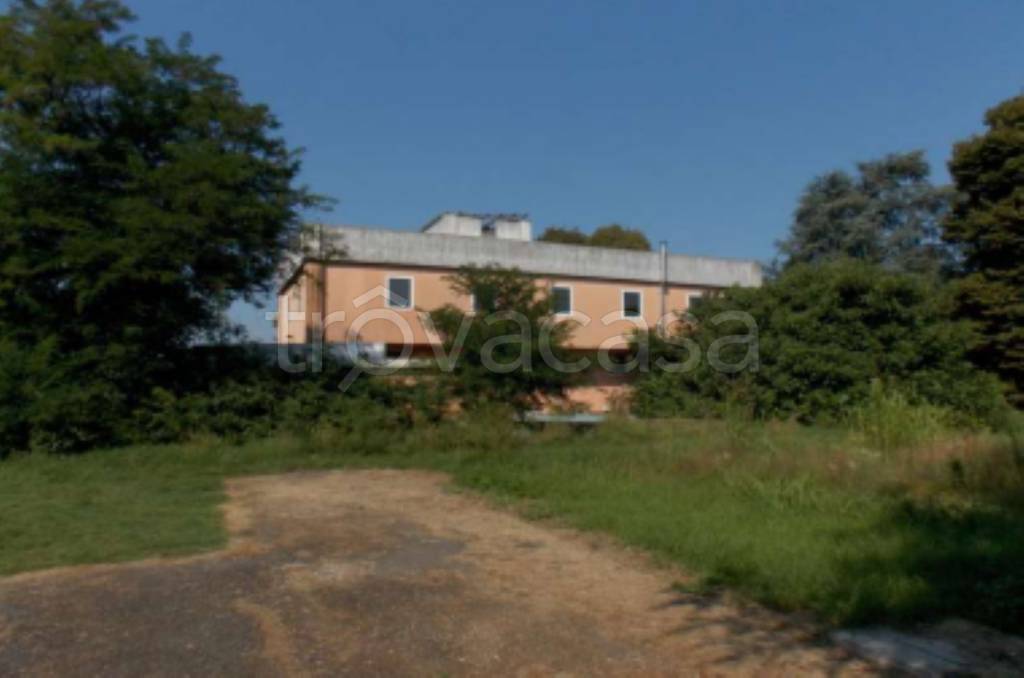 immagine annuncio 7 di 12