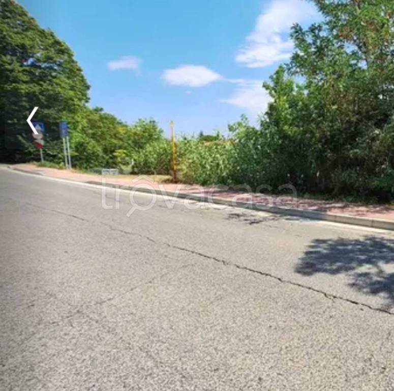 immagine annuncio 10 di 13