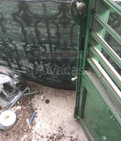 immagine annuncio 7 di 12