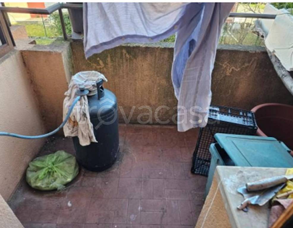 immagine annuncio 1 di 12