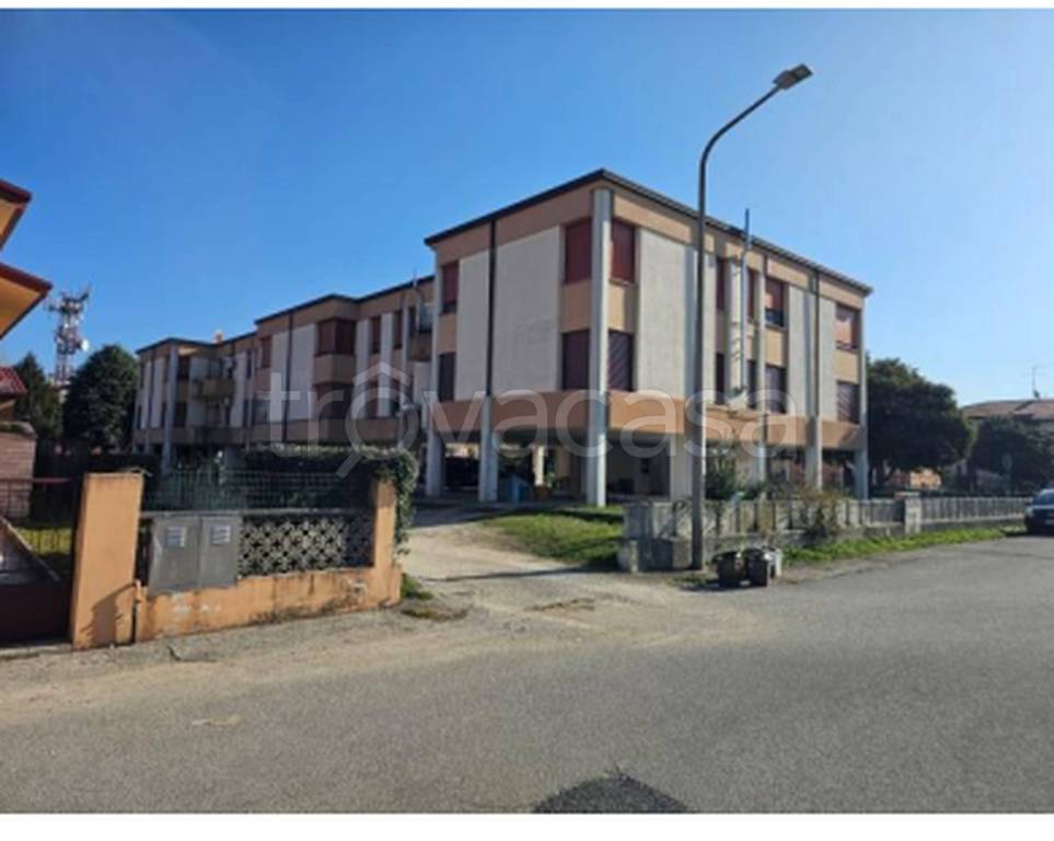 immagine annuncio 6 di 12