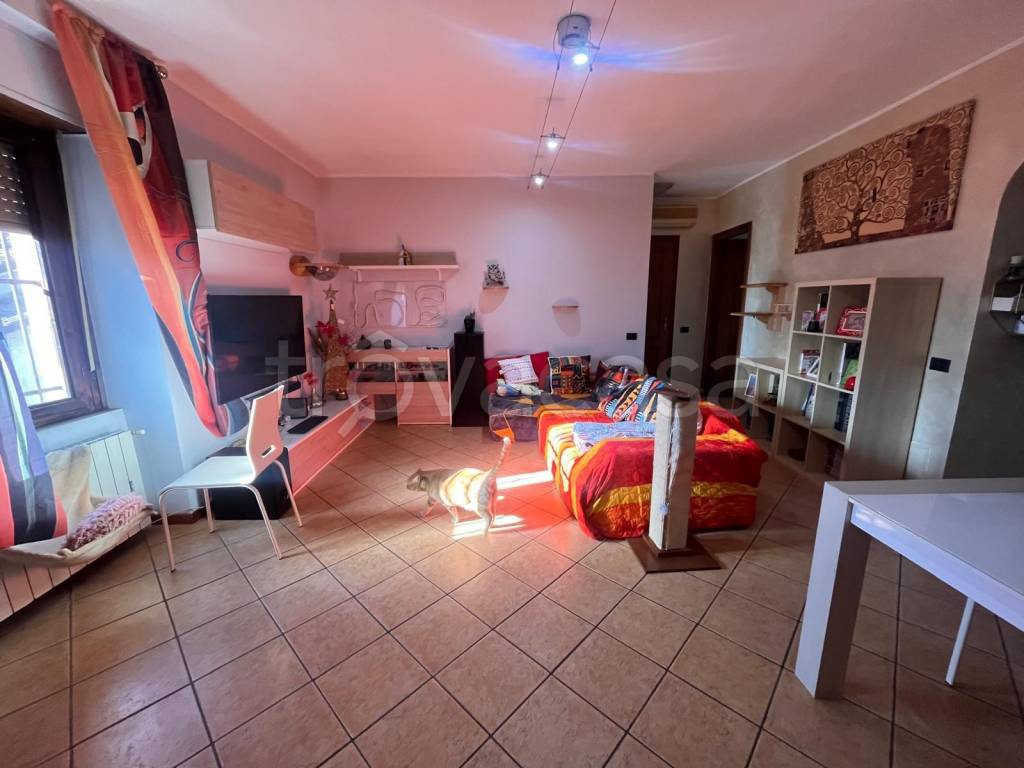 immagine annuncio 5 di 15