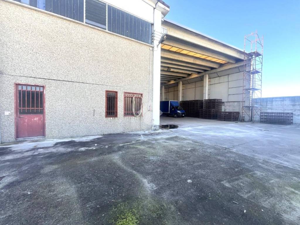 immagine annuncio 4 di 15