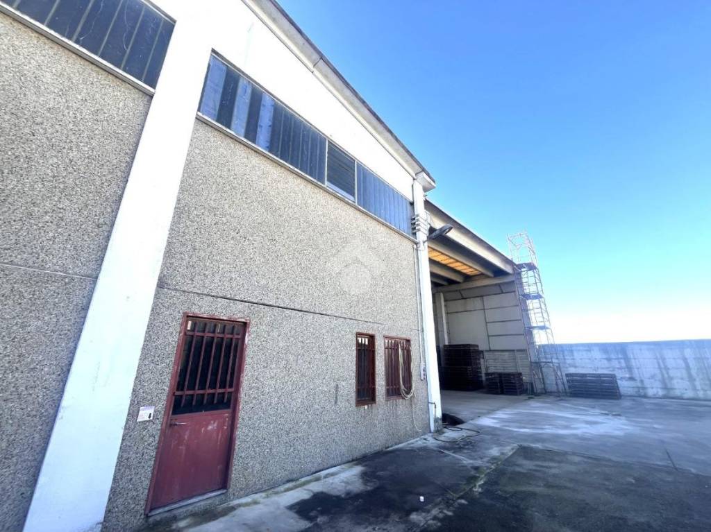 immagine annuncio 5 di 15