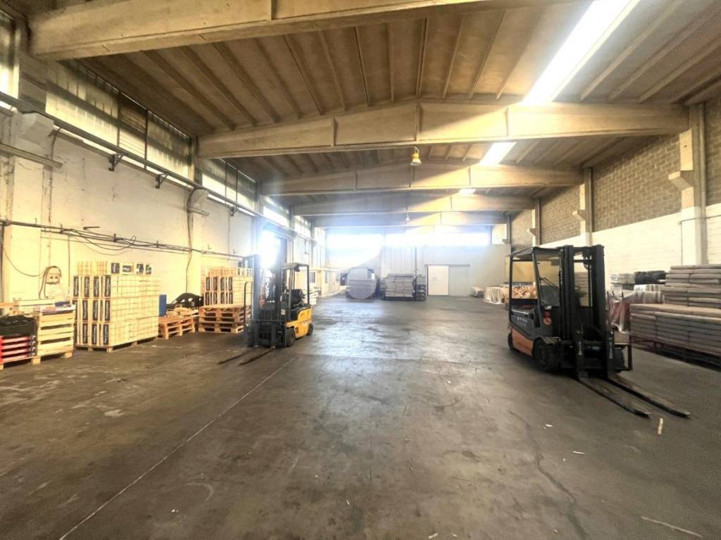 immagine annuncio 9 di 15