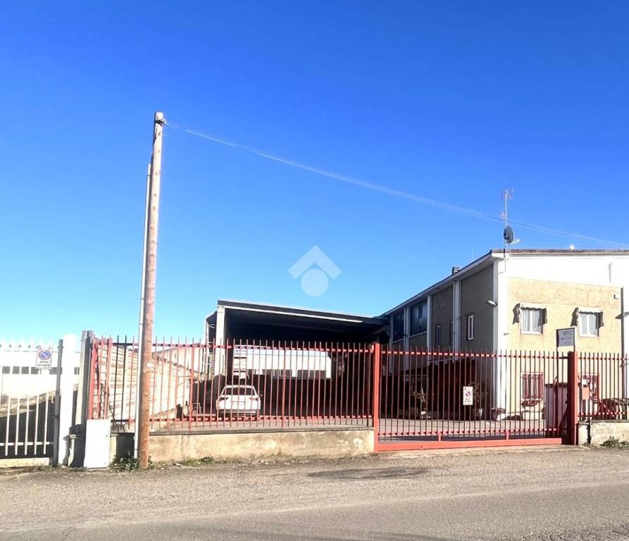 immagine annuncio 11 di 15