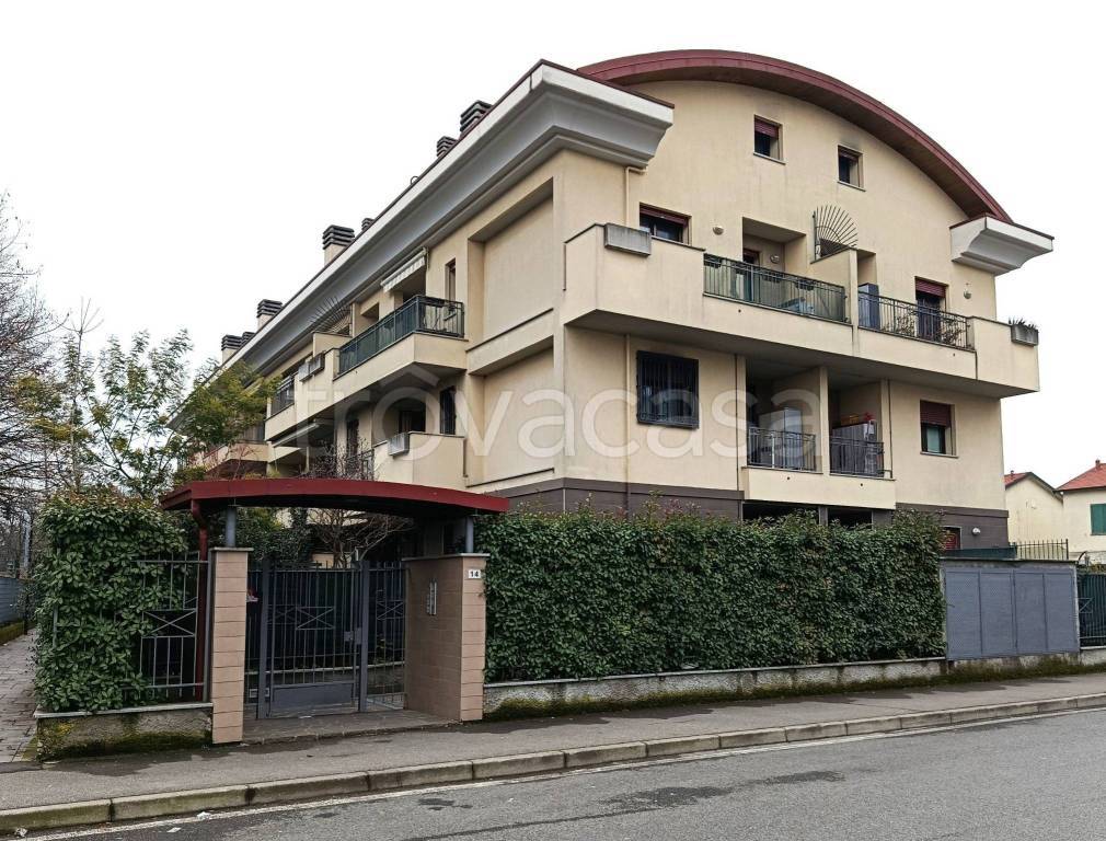 immagine annuncio 1 di 15