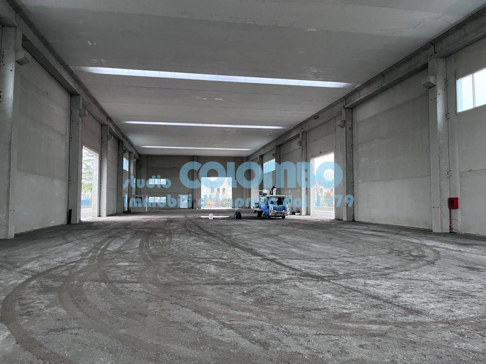 immagine annuncio 3 di 8