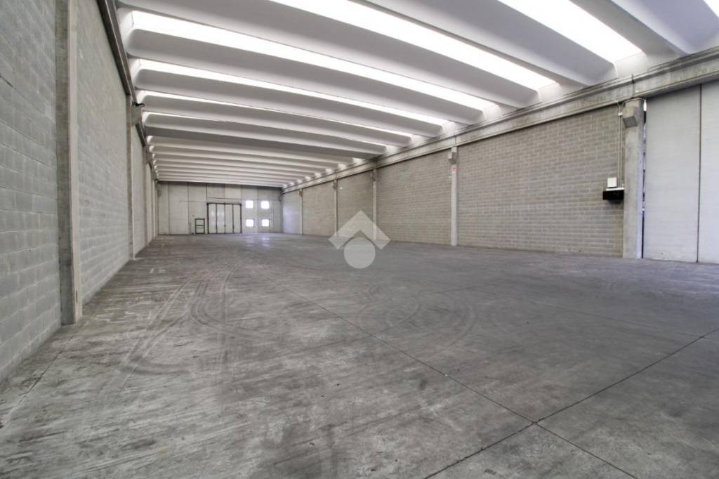 immagine annuncio 3 di 13