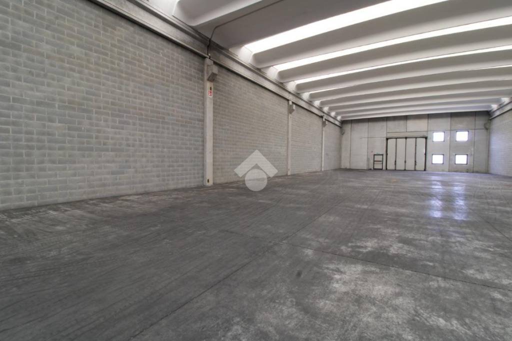 immagine annuncio 7 di 13