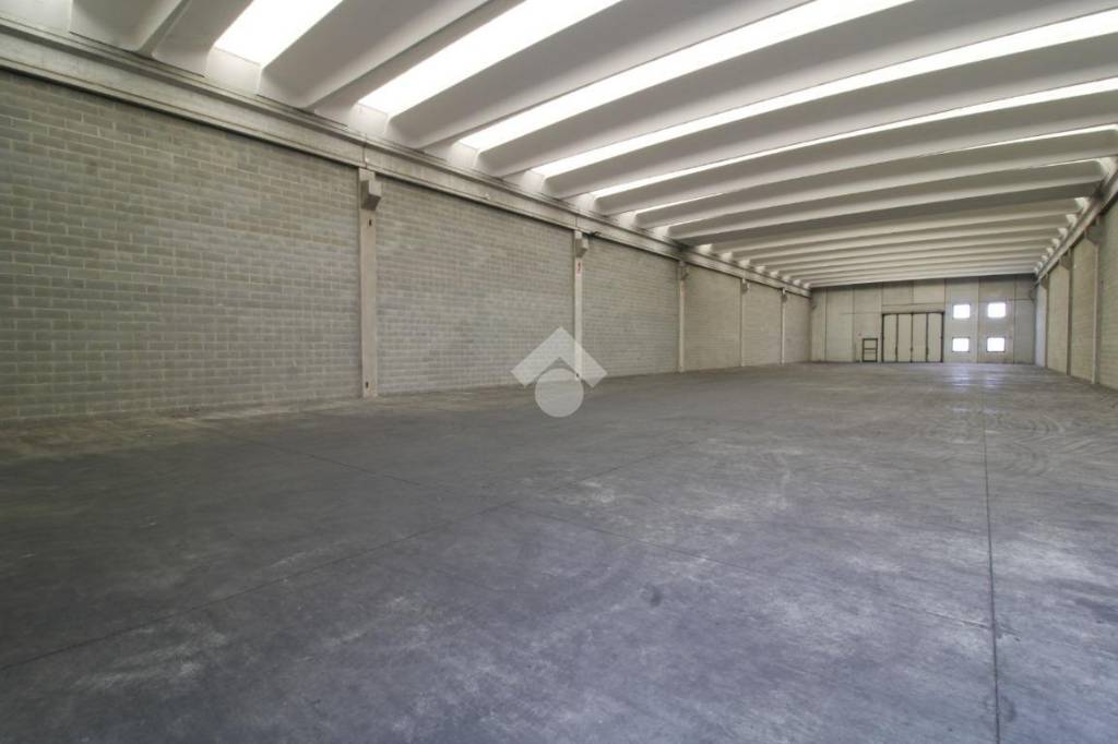 immagine annuncio 9 di 13