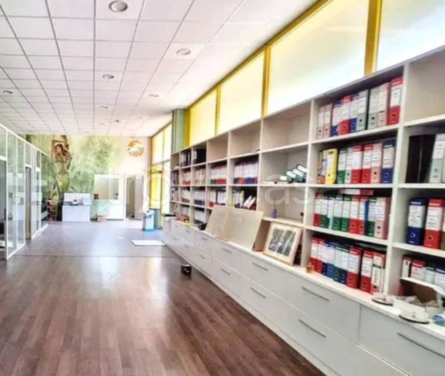 immagine annuncio 8 di 14