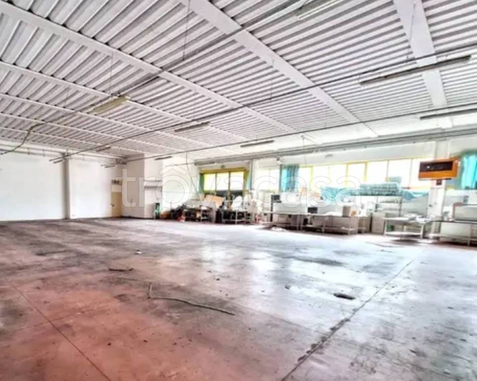 immagine annuncio 9 di 14