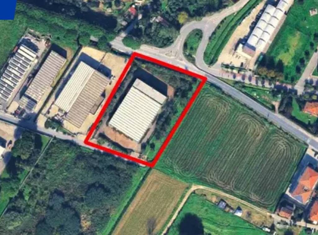 immagine annuncio 11 di 14