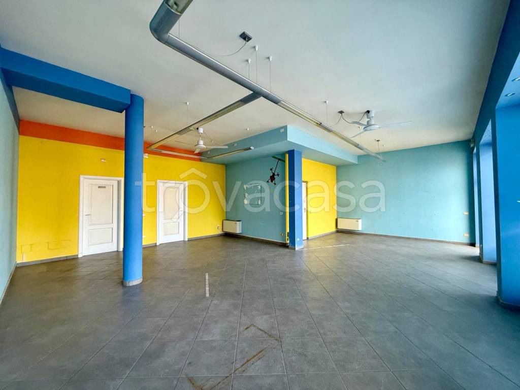 immagine annuncio 1 di 12