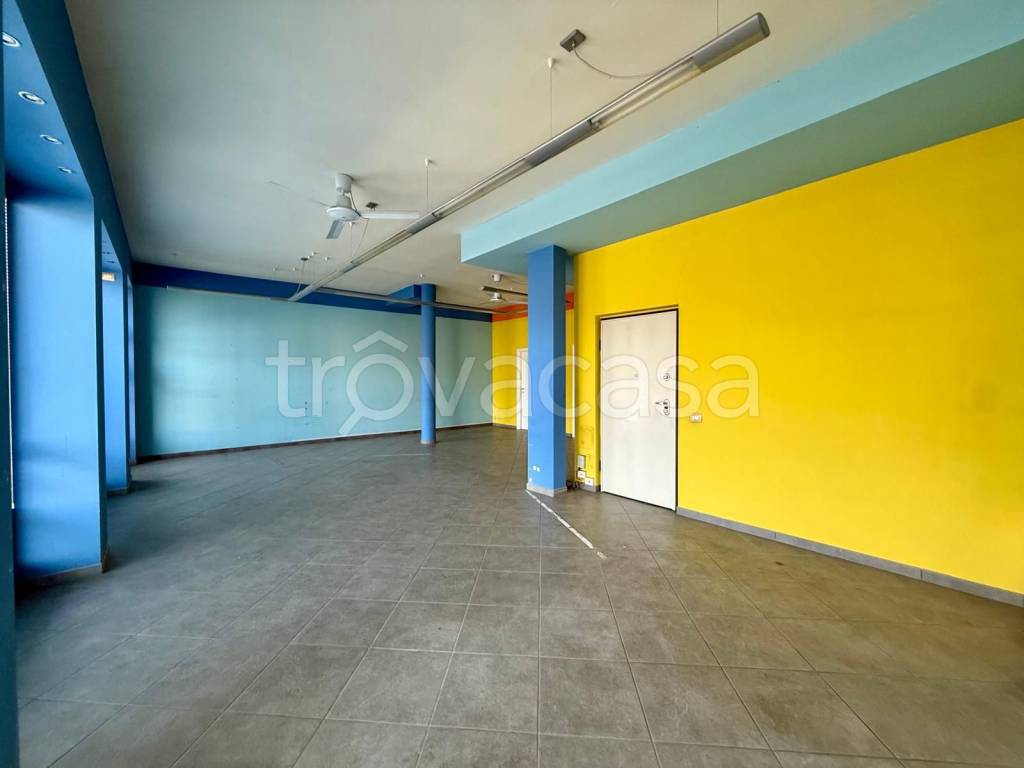 immagine annuncio 7 di 12