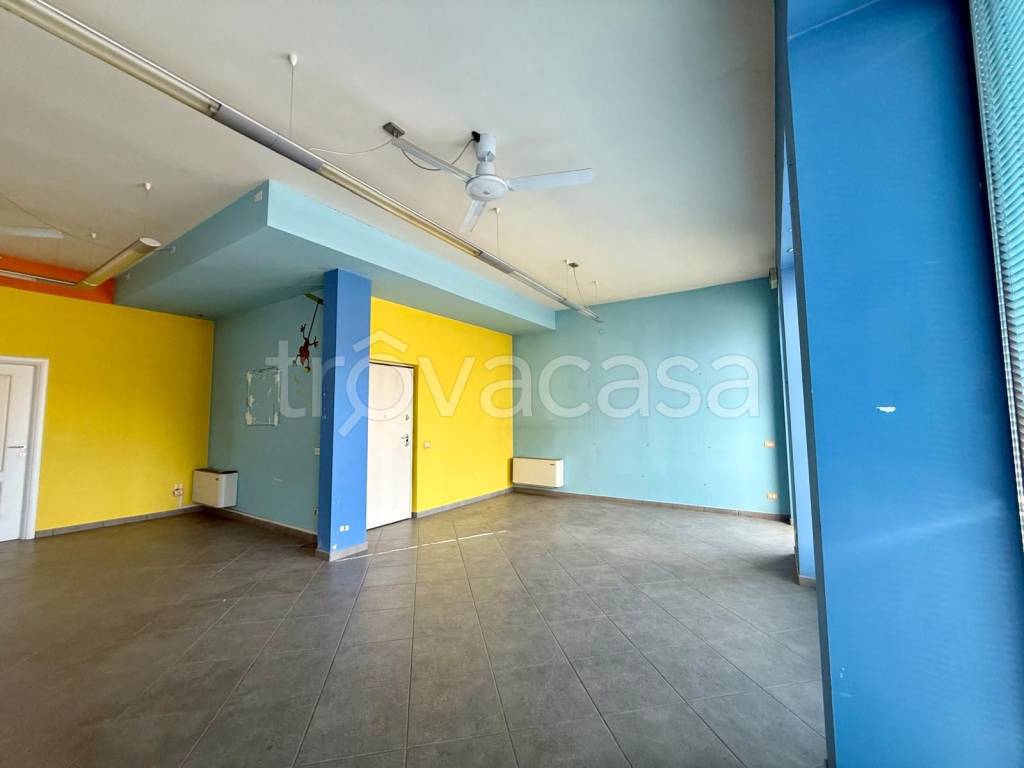 immagine annuncio 2 di 12