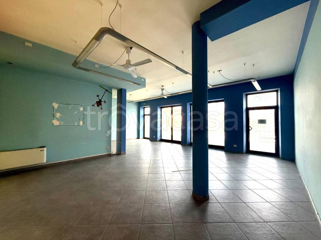 immagine annuncio 4 di 12