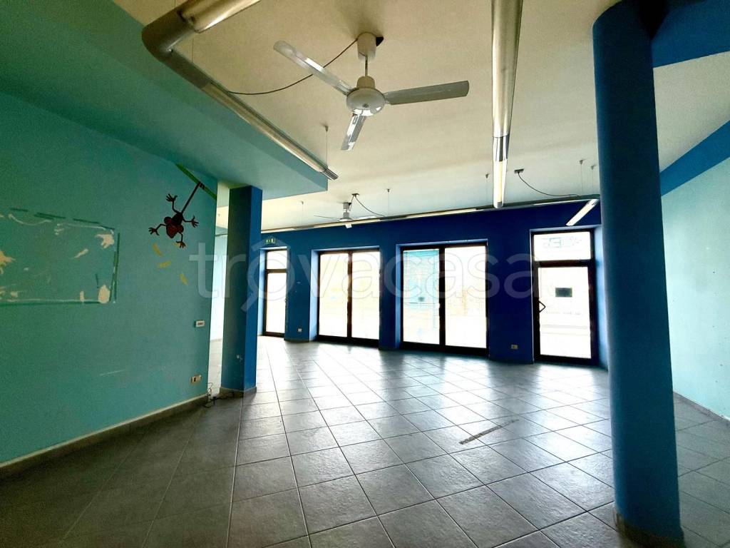 immagine annuncio 6 di 12