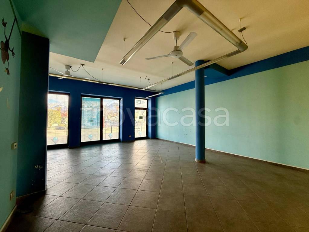 immagine annuncio 8 di 12