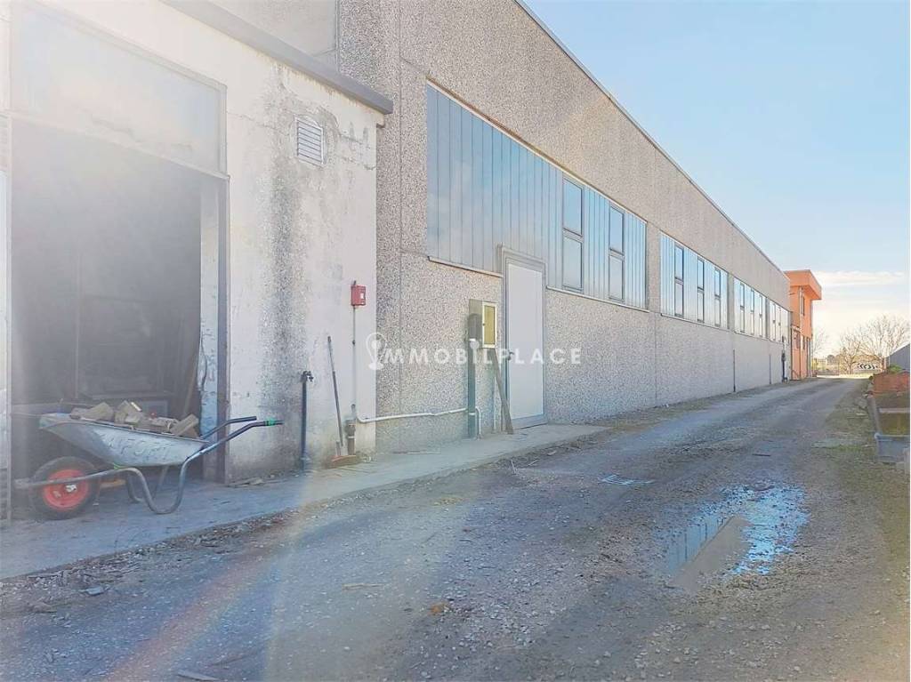 immagine annuncio 3 di 15