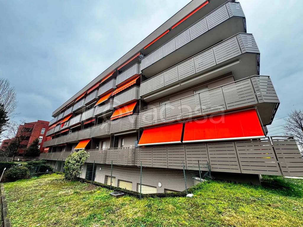 immagine annuncio 14 di 15