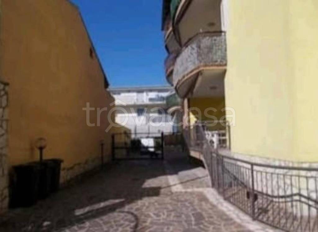 immagine annuncio 12 di 14