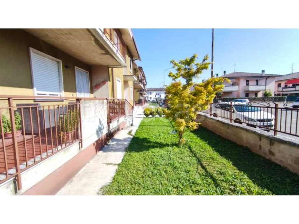 immagine annuncio 3 di 15