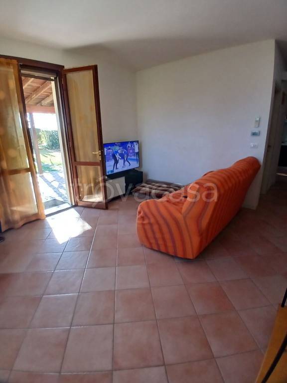 immagine annuncio 4 di 14