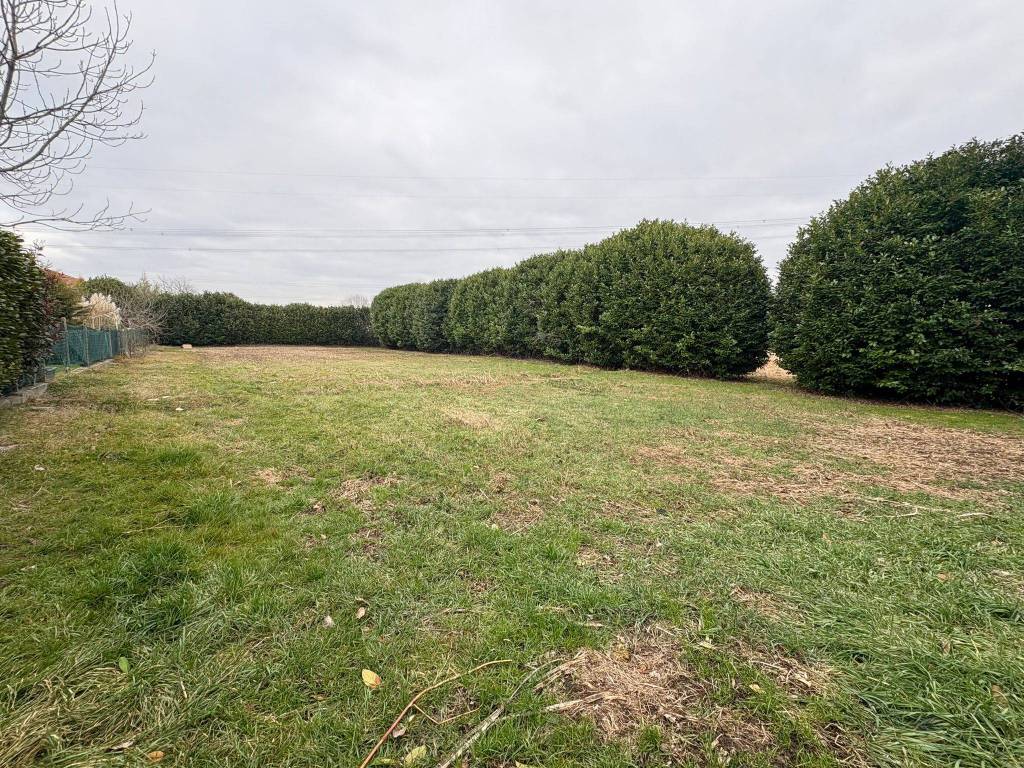 immagine annuncio 2 di 6