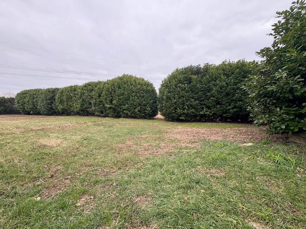 immagine annuncio 3 di 6