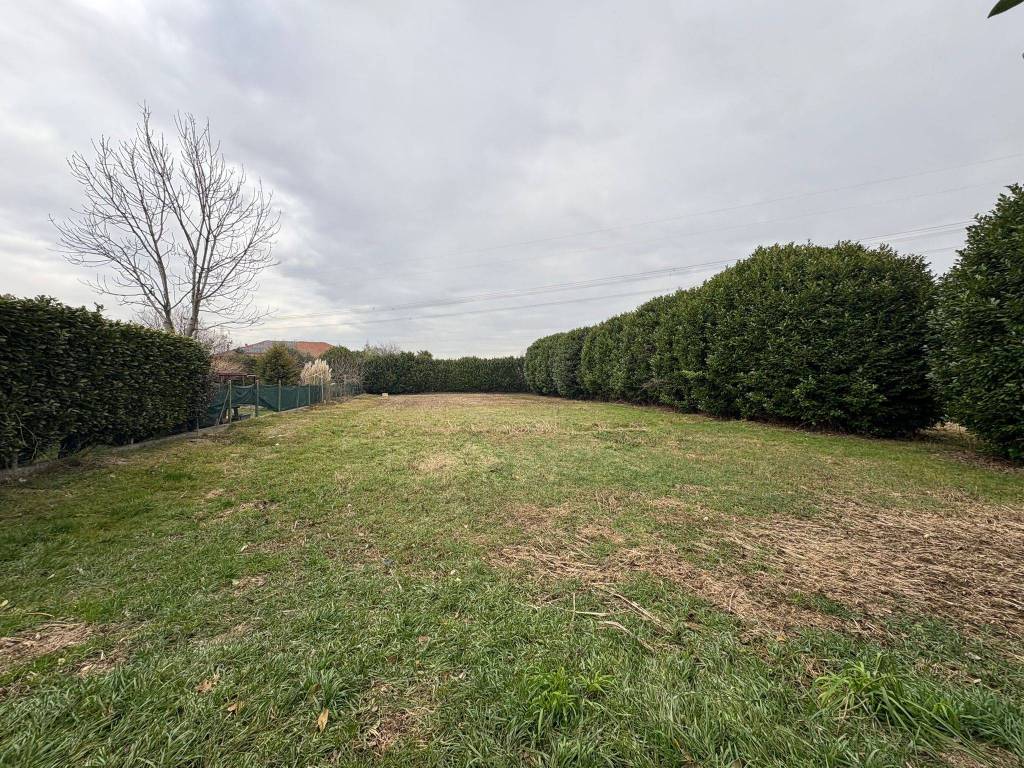 immagine annuncio 4 di 6