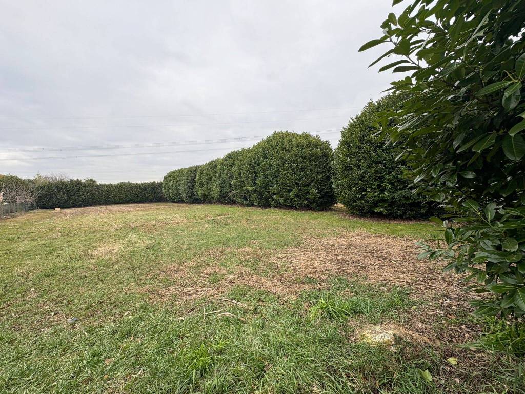 immagine annuncio 5 di 6