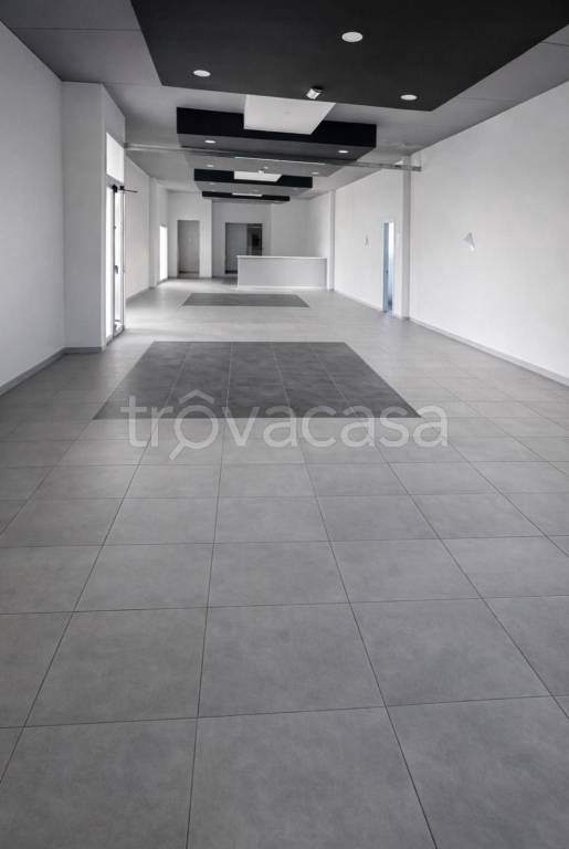 immagine annuncio 4 di 6