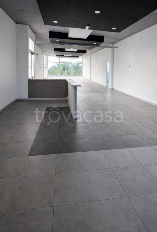 immagine annuncio 5 di 6