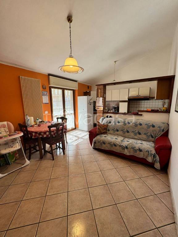 immagine annuncio 1 di 14