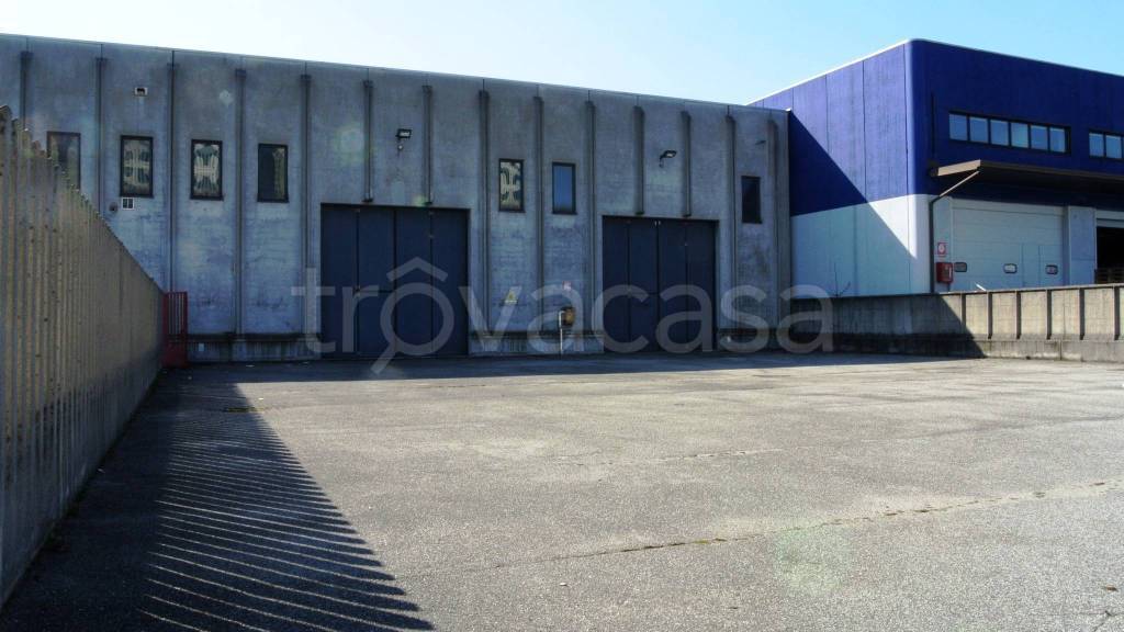 immagine annuncio 13 di 15