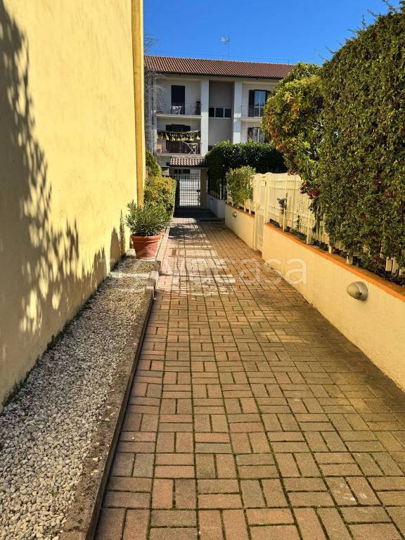 immagine annuncio 12 di 14