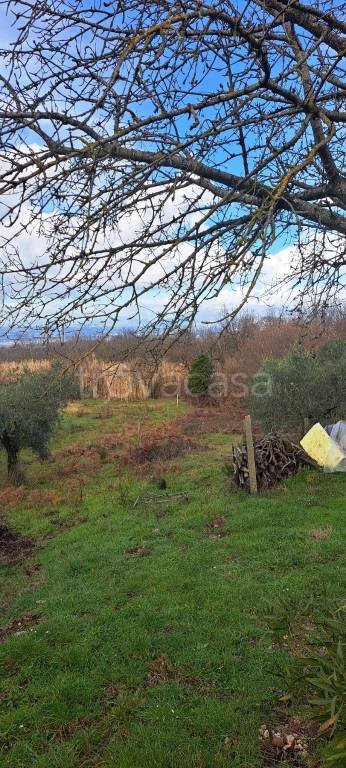 immagine annuncio 2 di 14