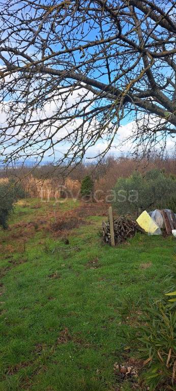 immagine annuncio 3 di 14