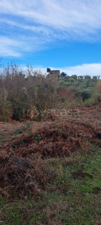 immagine annuncio 9 di 14