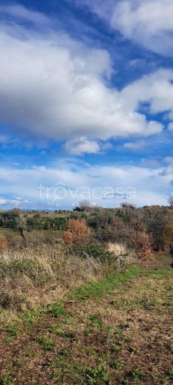 immagine annuncio 10 di 14