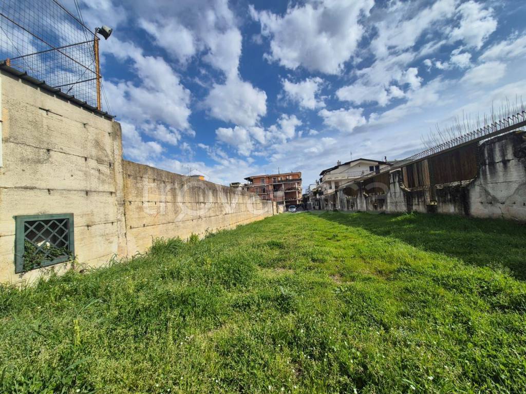 immagine annuncio 5 di 6