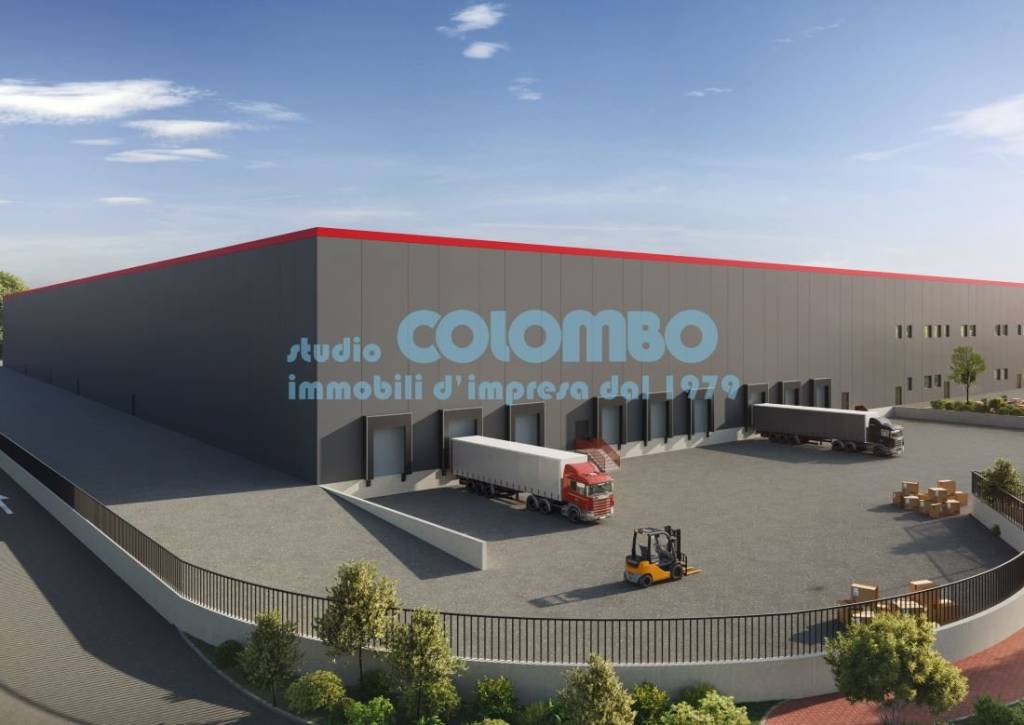 immagine annuncio 3 di 11