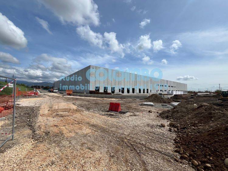 immagine annuncio 7 di 11