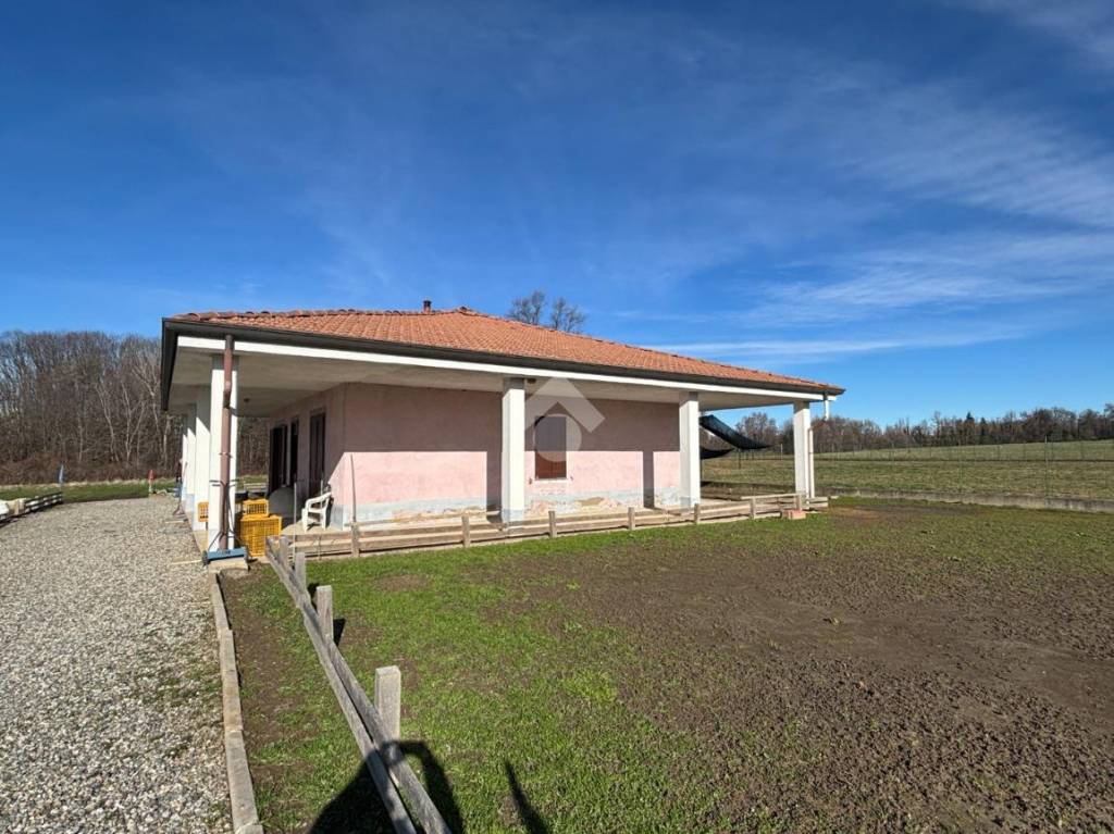 immagine annuncio 4 di 15