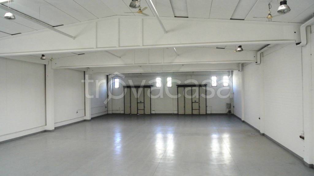 immagine annuncio 4 di 13