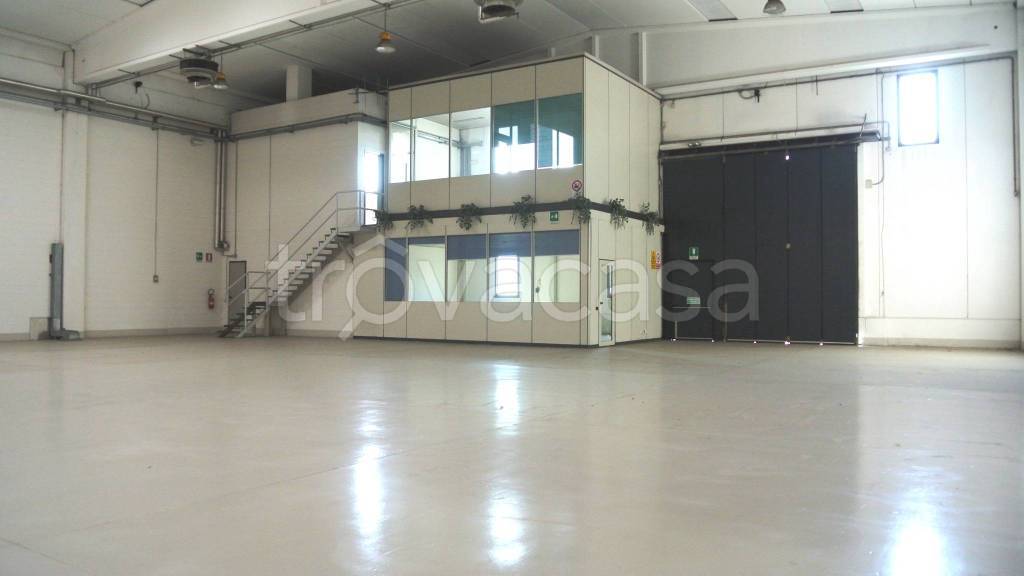 immagine annuncio 5 di 13