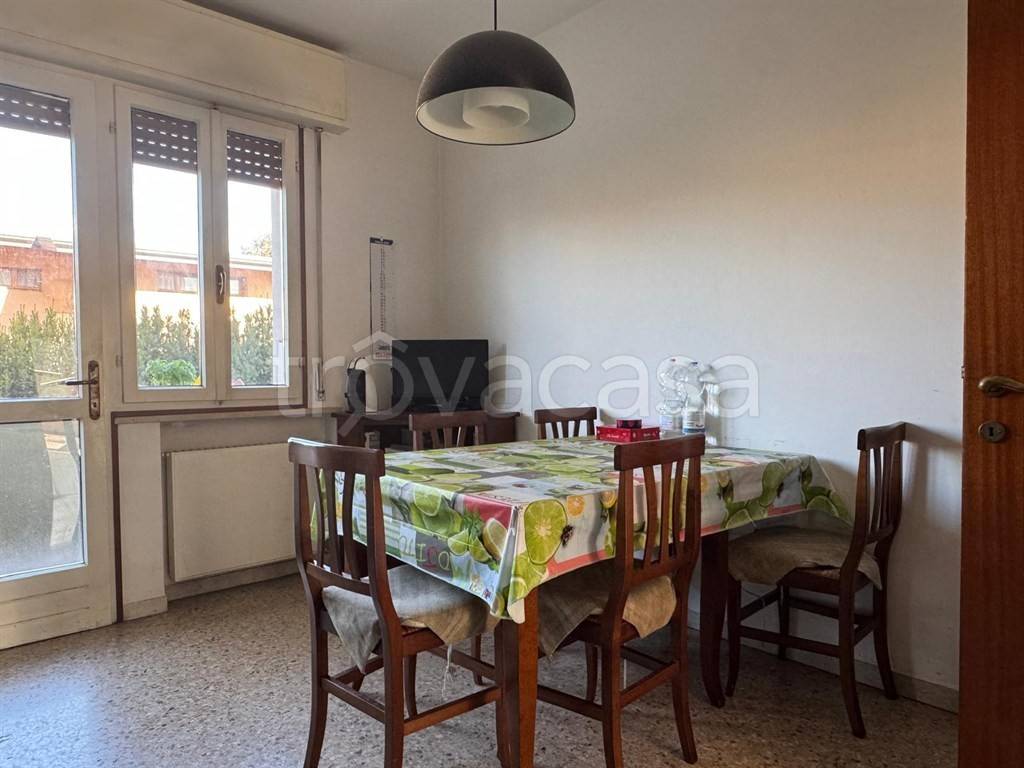 immagine annuncio 3 di 13